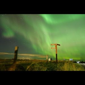 Meet your Posher, Katrina